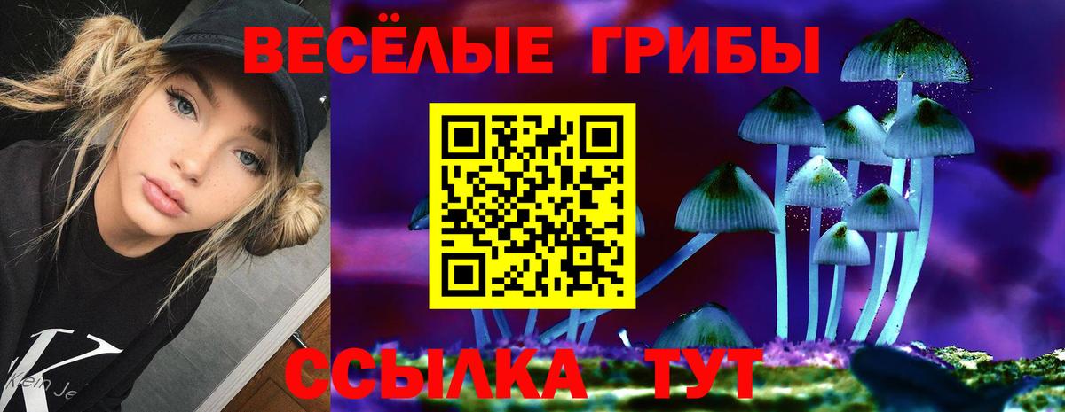Рузаевка  Галлюциногенные грибы GOLDEN TEACHER  Вход с VPN  Псилоцибиновые грибы прущие грибы 